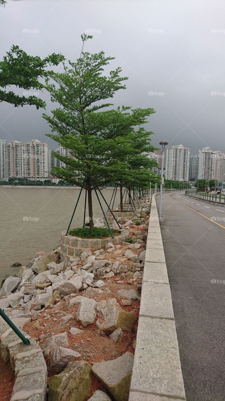 av.  dos. Jogos da. Asia Otiental.  a Avenue link to Macau and Cotai City,  this is a new sea rocky wall after the Macau govt twist into tourist spot when the casino's income lowered., far ahead are the residential building in Taipa,