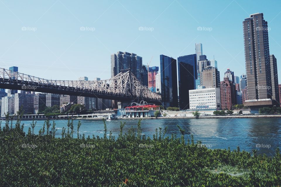 Manhattan & Roosevelt Island. The view of Manhattan
