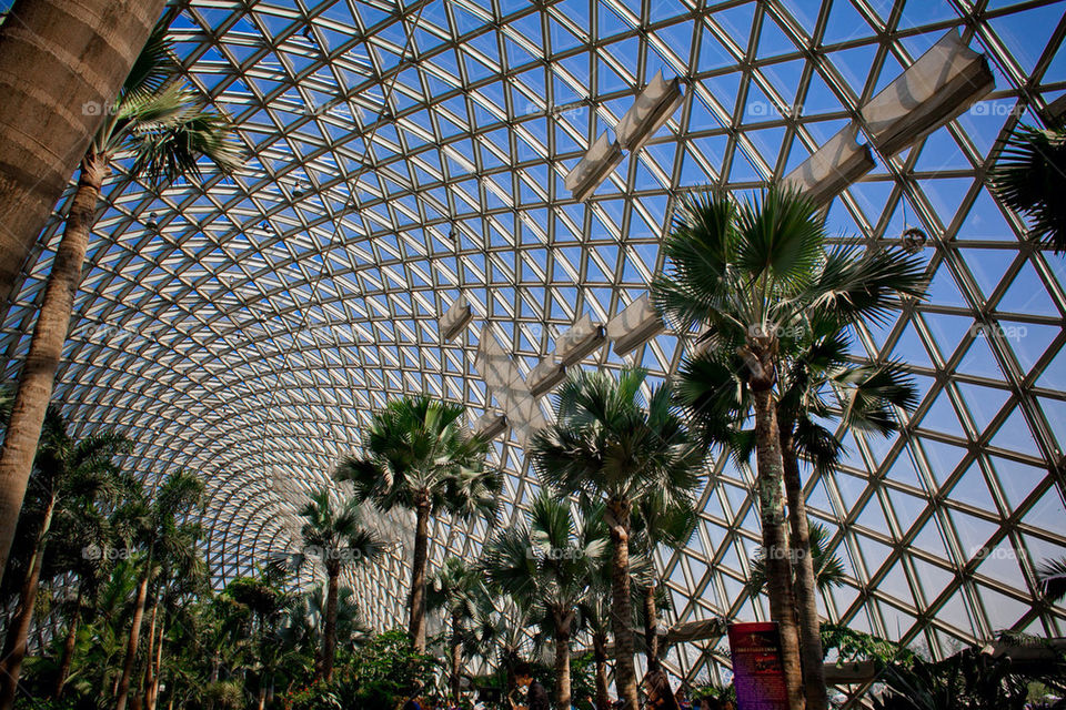 roof greenhouse architectural rhythm by brucequ404