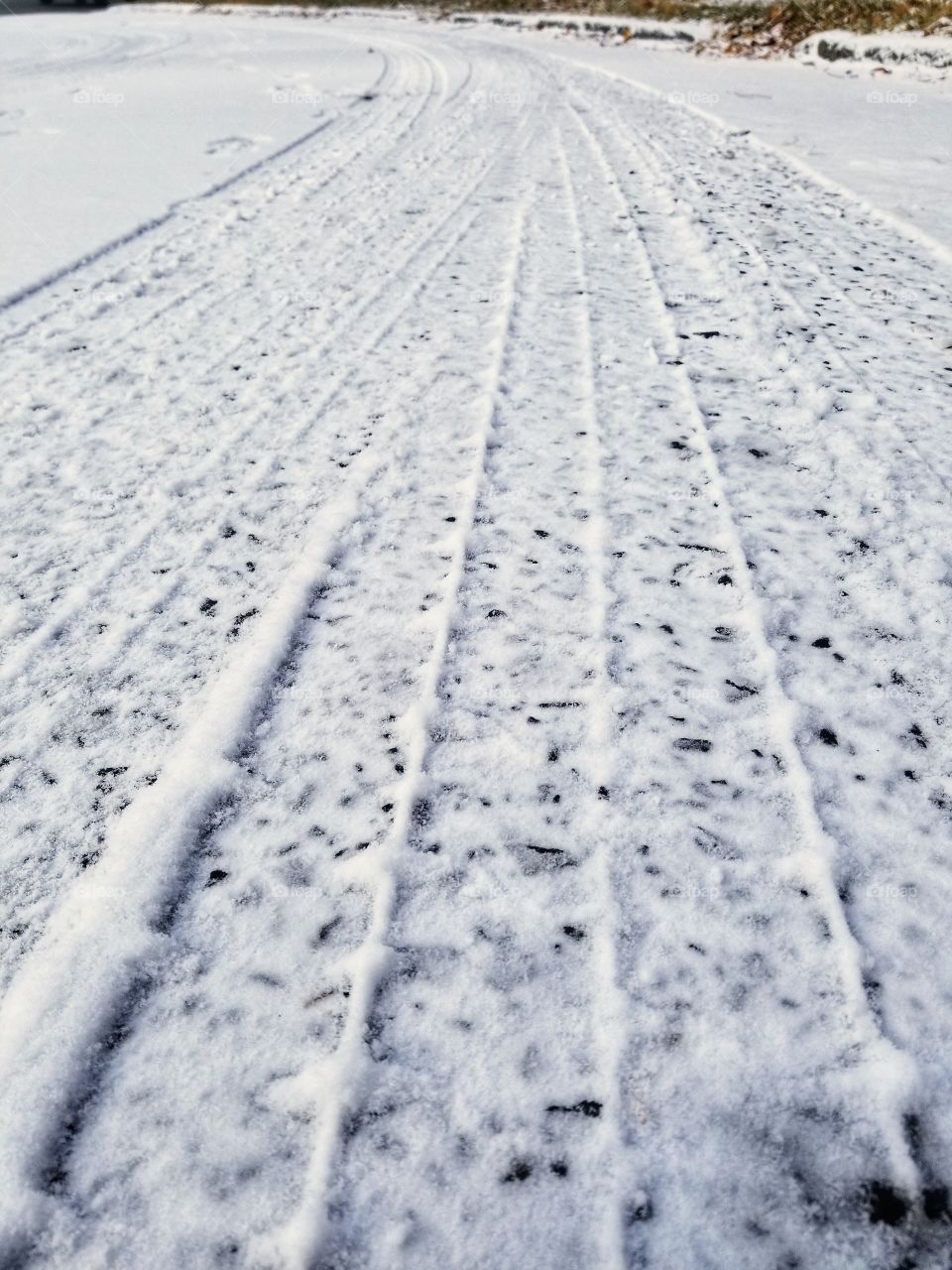 Tire Tracks in Snow