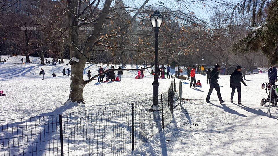 Central Park sledding. Families flock to Central Park after a snowfall for sledding