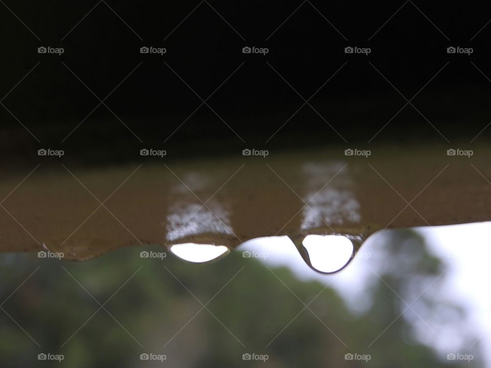 Raindrops waiting to fall.