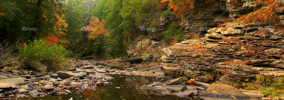 A beautiful scene of water over rocks in the autumn in Fall Creek Falls, TN