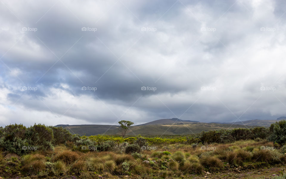 panorama over savannah near Mt Kenya