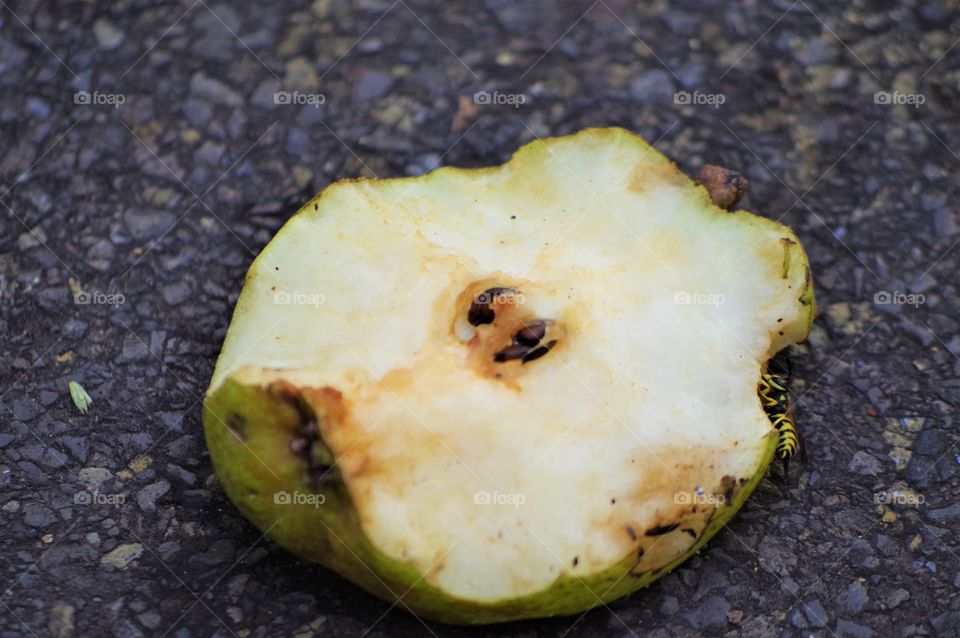 Pear eaten by wildlife