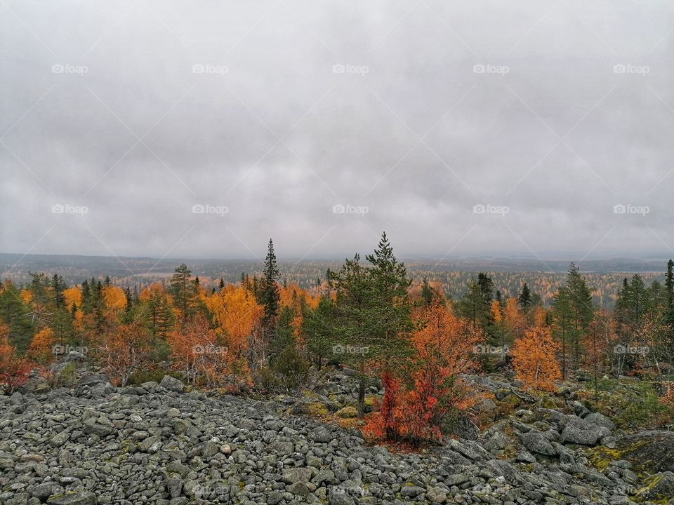 Stunning colorful autumn landscapes from Finnish Lapland mountain.