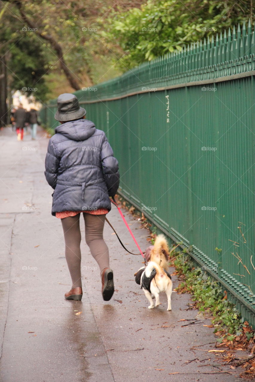 Woman walks with dogs