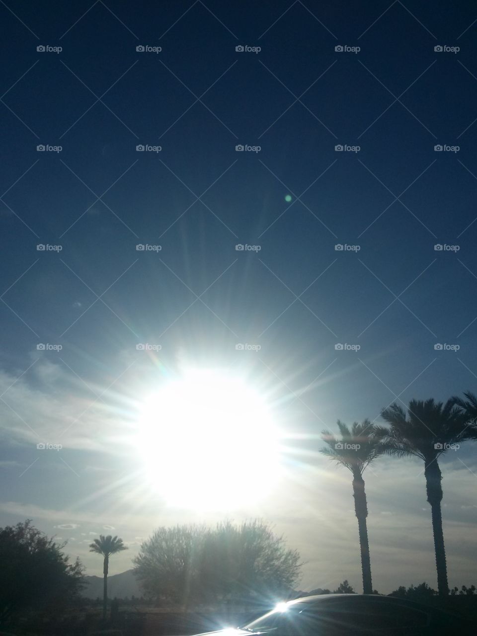 Bright Sunny Rays
Staring at me today
Palm Trees Add to 
A Picture , Lovely too.
Rays with Brilliance 
Shine upon the Blue Sky's 
Blue Color of Radience