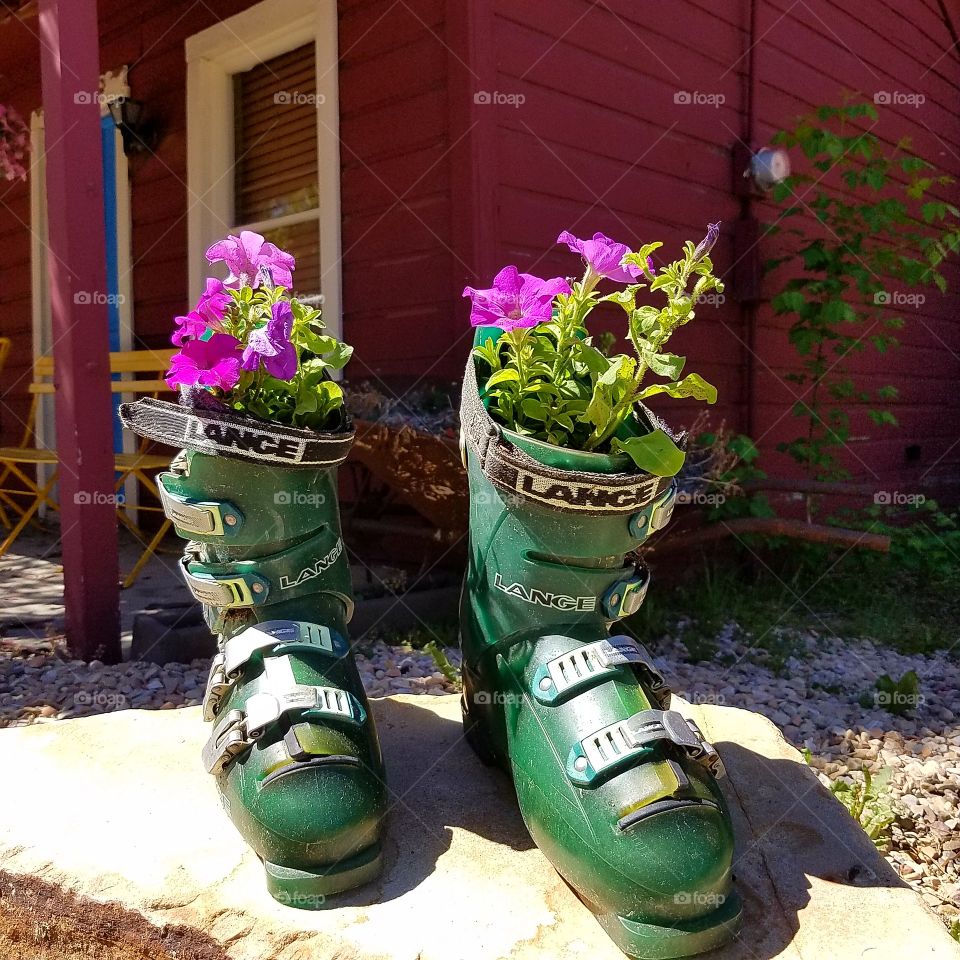 Ski boots repurposed to flower pots...ski town Park City!