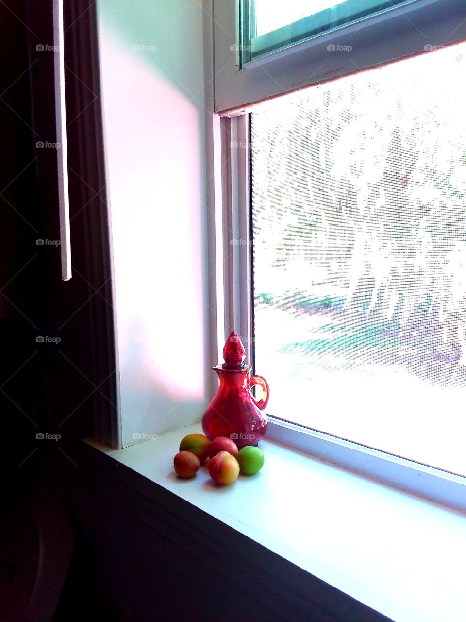 Dwarf Plums ripening in the kitchen window with red glass pitcher