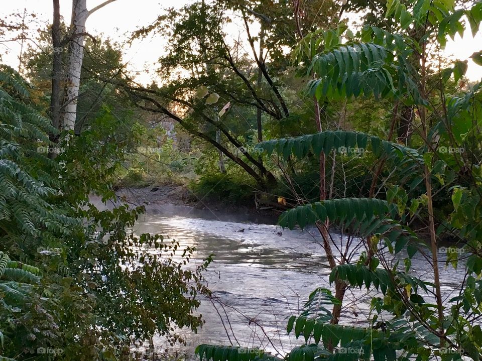 Relaxing sounds of water 