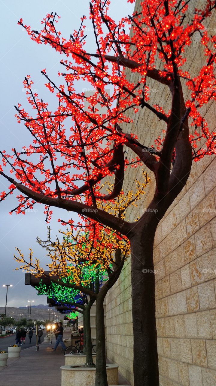 fake trees with lights