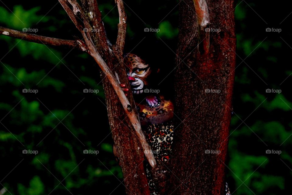 Character makeup. Borneo tiger character make up. Clouded leopard or branch tiger typical of Borneo. The animal with the Latin name Neofelis diardi is now in the transit enclosure of the South Borneo Natural Resources Conservation Agency.