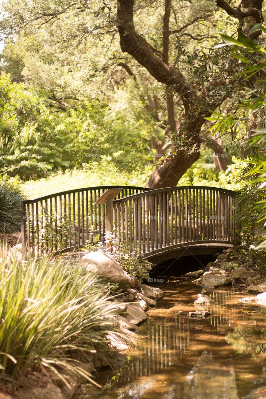 Small bridge in Zilker Botanical Gardens. 