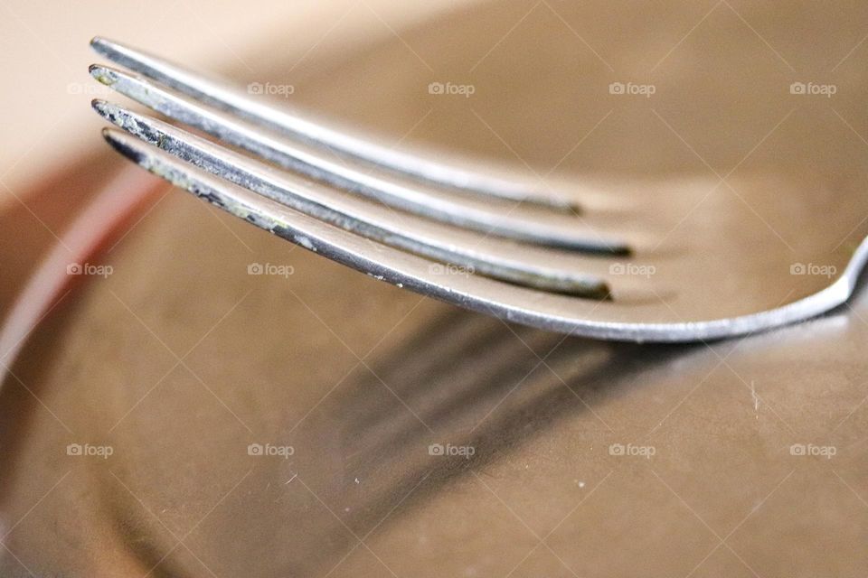 Fork