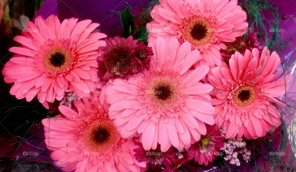 Pink blooming beautiful flowers with
many delicate petals in closeup in 
bouquet