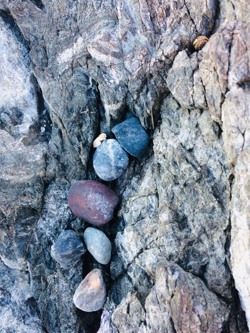 Rocks