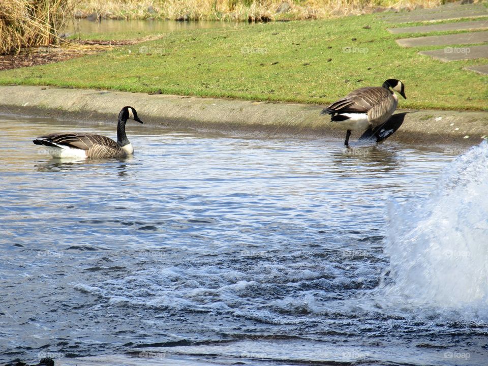 time to leave the water