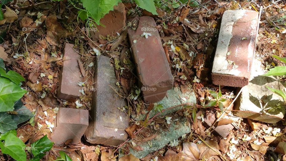 Abandoned Bricks
