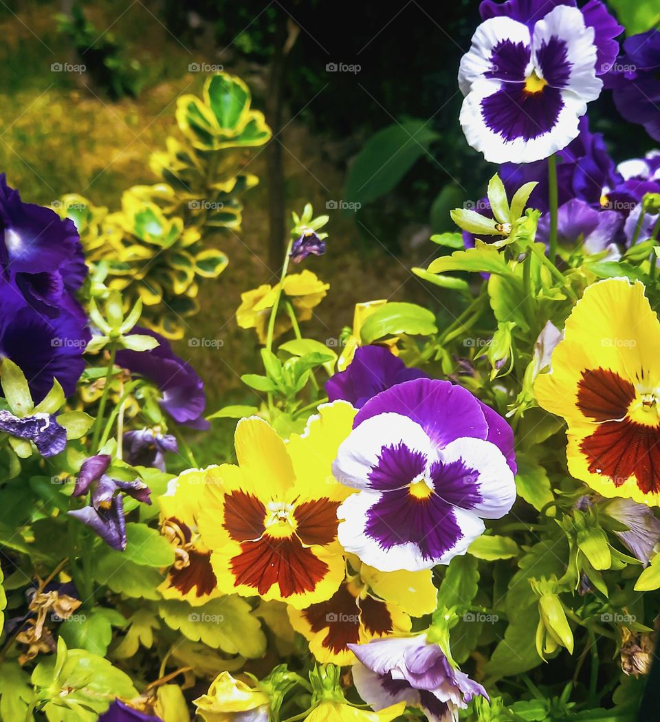 Small moments cof hapiness