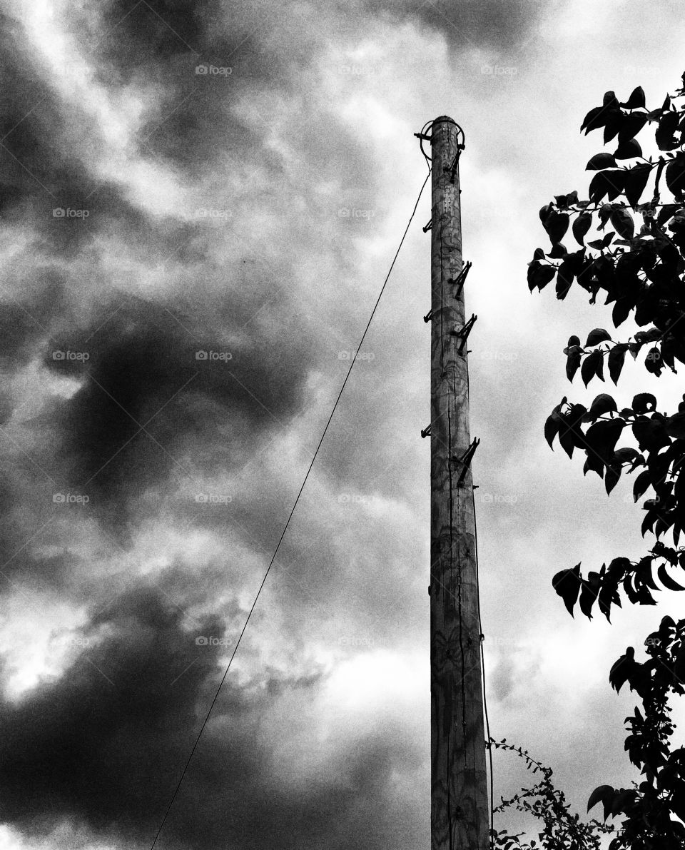 Telegraph pole 