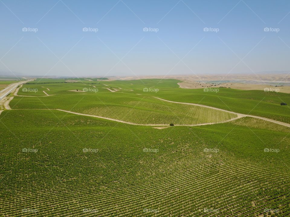 No Person, Landscape, Agriculture, Grass, Countryside