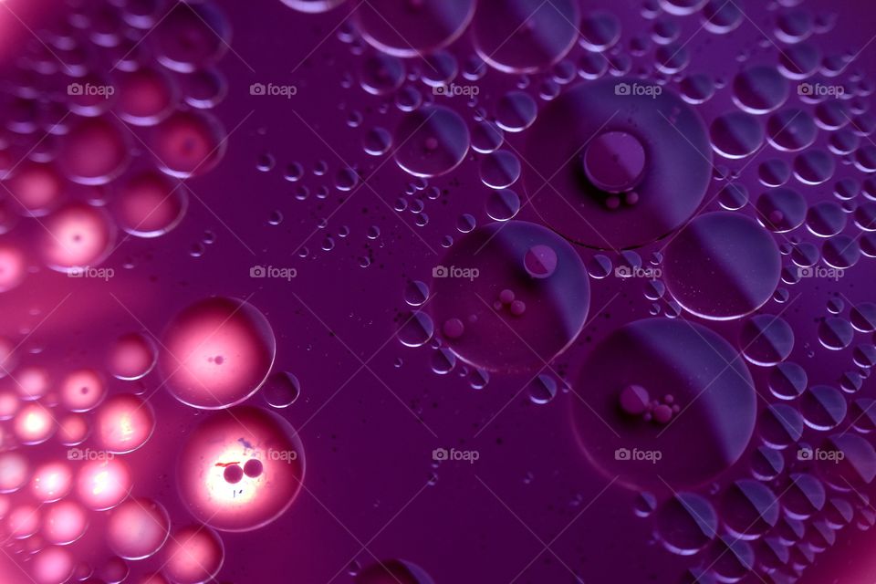purple collors circles