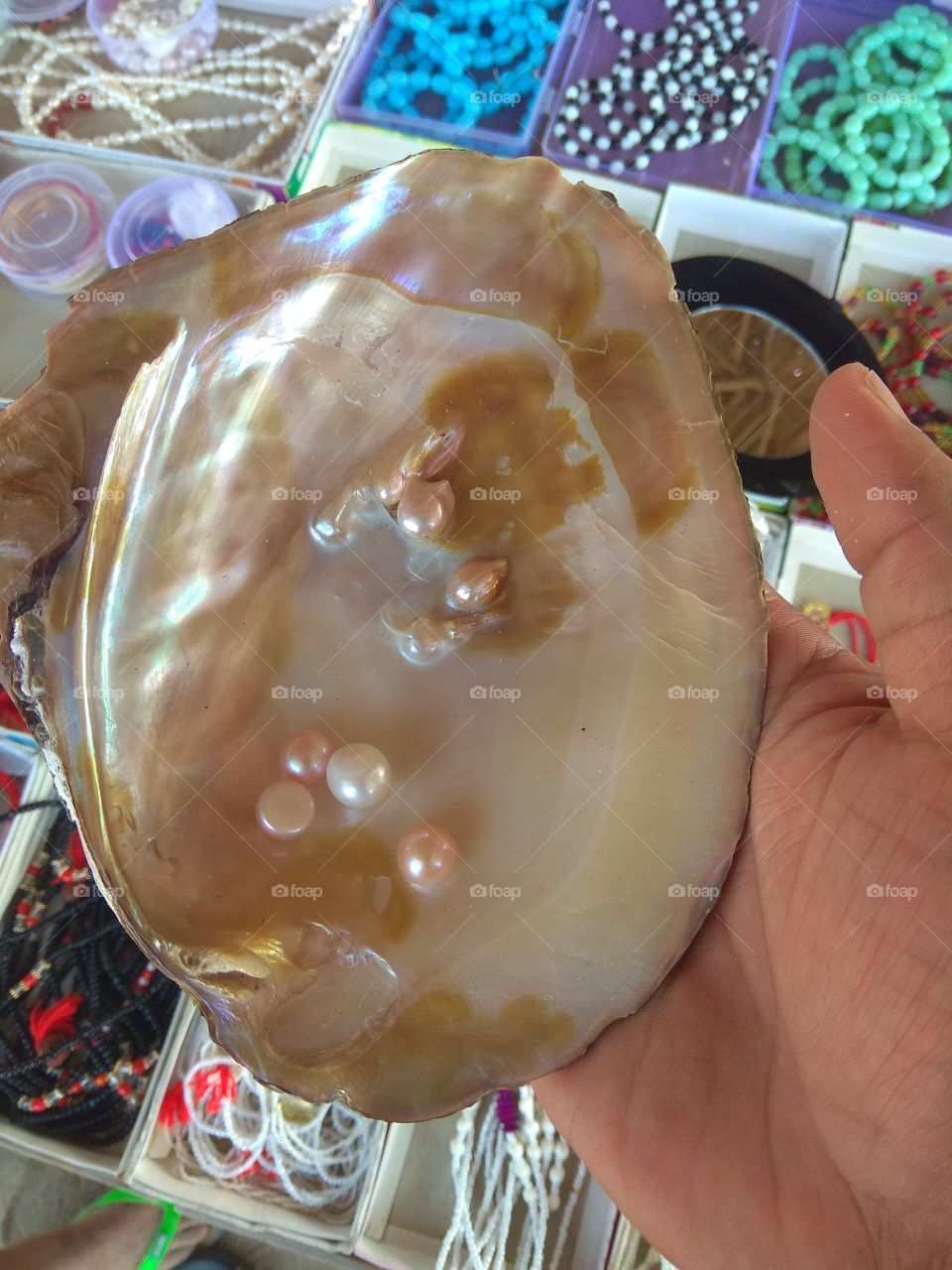 Natural Pearls form when an irritant - usually a parasite works its way into an oyster, mussel, or clam. As a defense mechanism, a fluid is used to coat the irritant. Layer upon layer of this coating, called 'nacre', is deposited until a lustrous pearl is formed.