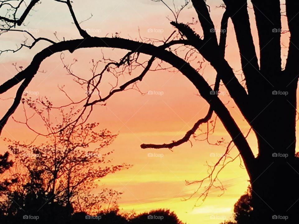 The sky the next night after a tornado hit our yard, that was very colorful and calm out. 