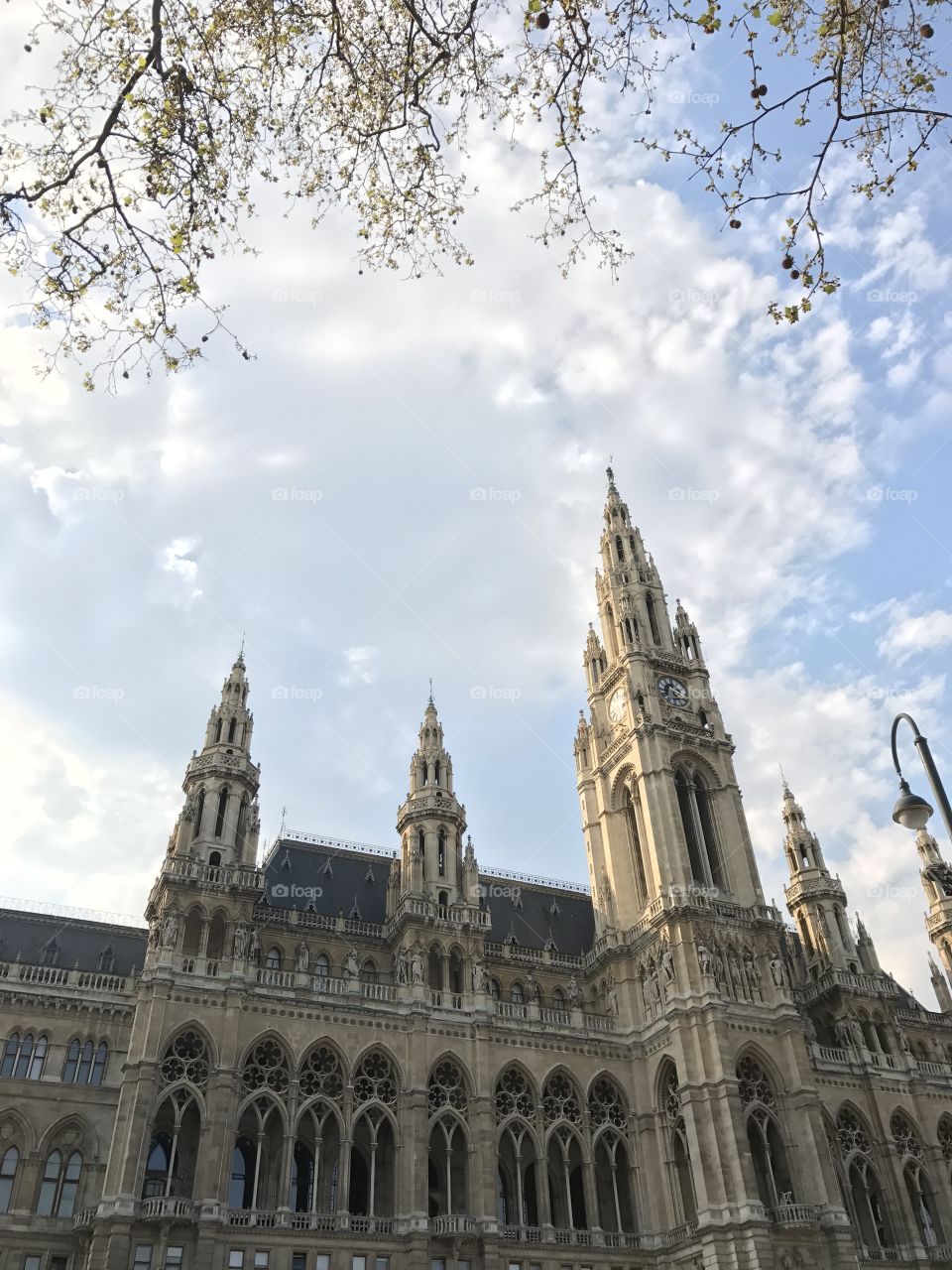 Rathaus Vienna