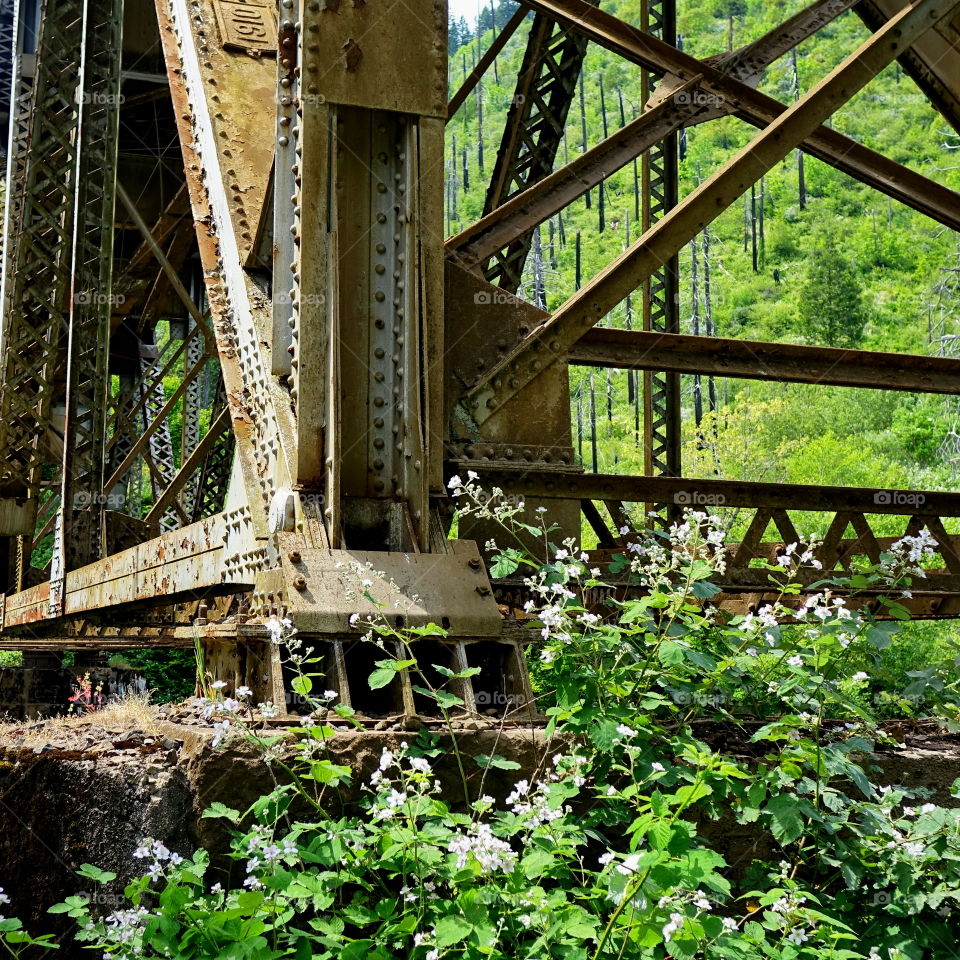 The powerful structure of a railroad bridge in Western Oregon 