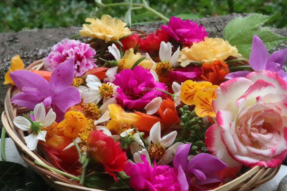various colors and types of flowers