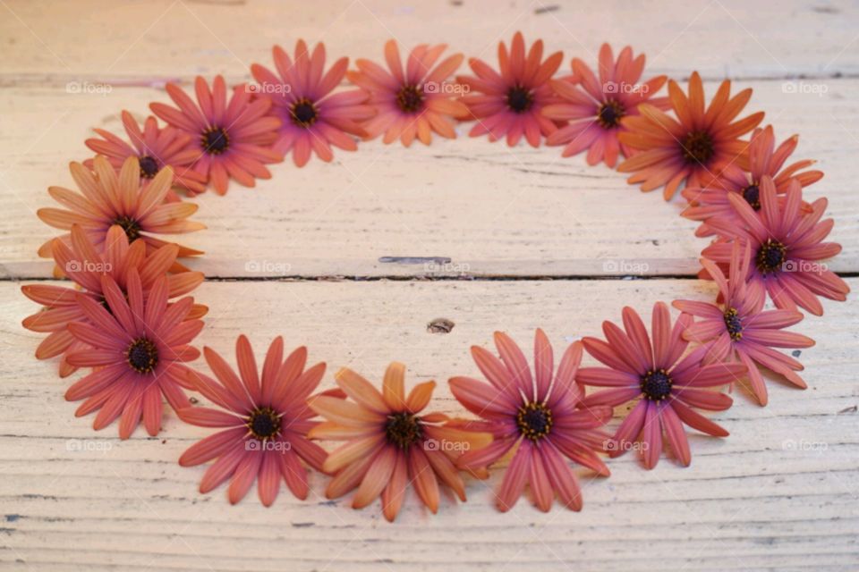 Flower Crown - Orange Daisy