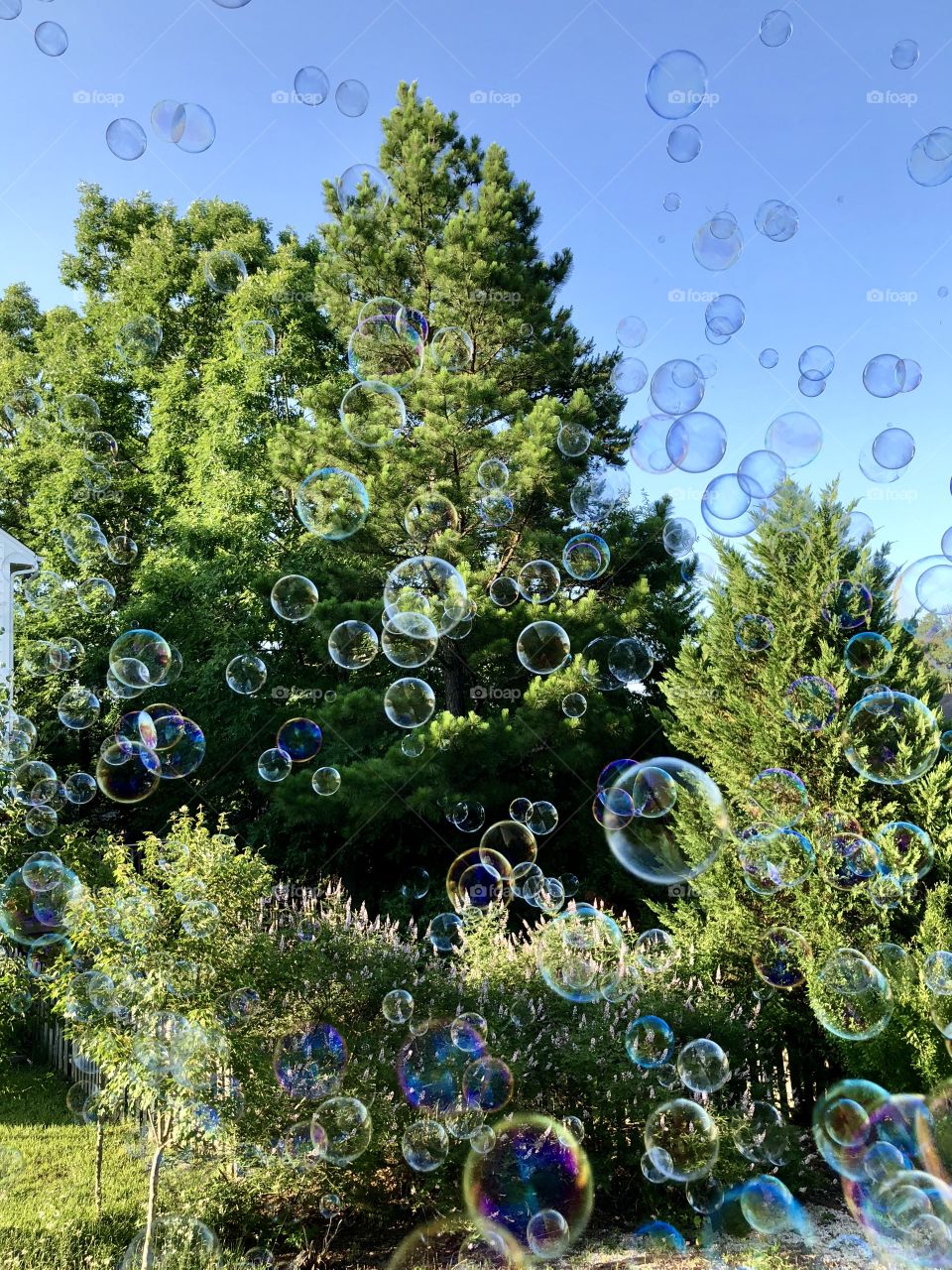 Bubbles in the wind