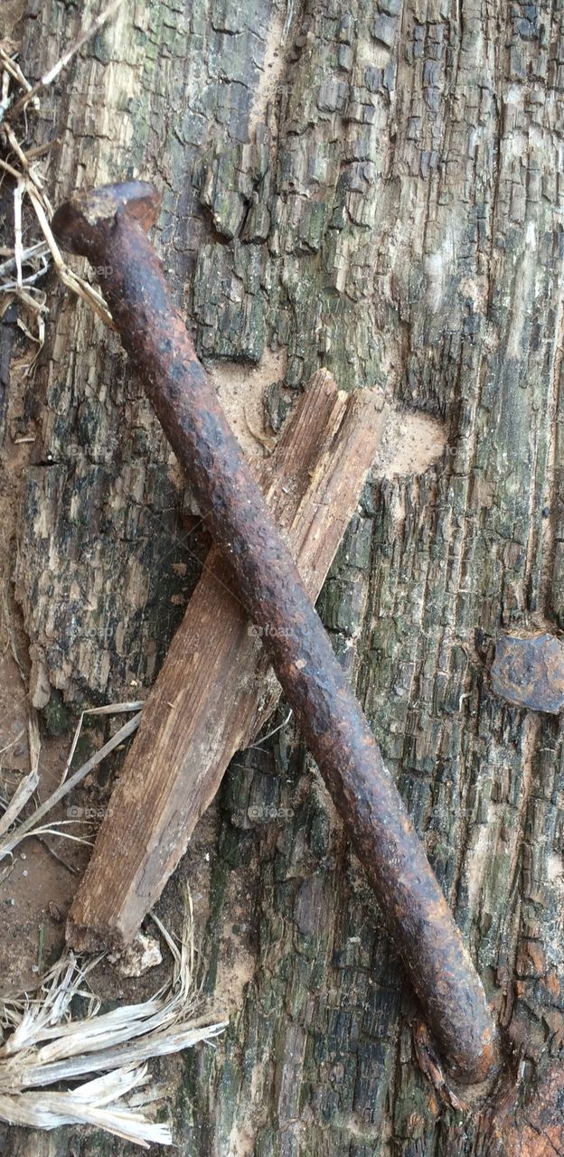 Rail tie nail. Nail sticking out of an old railroad tie