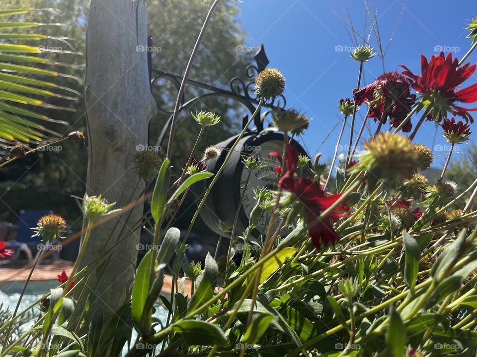 Time is hiding in nature…