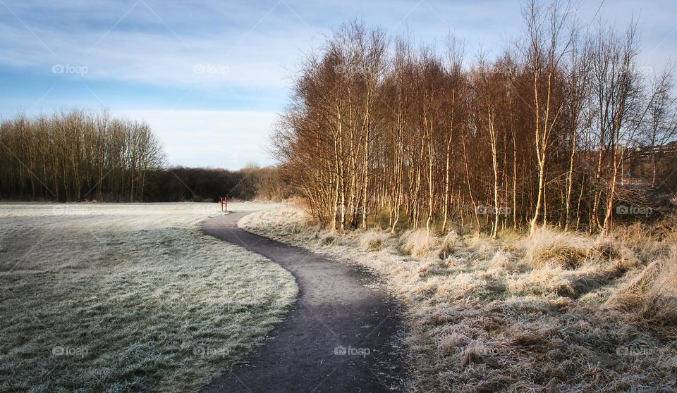 Winter nature at Riverside Park in Galway, Ireland