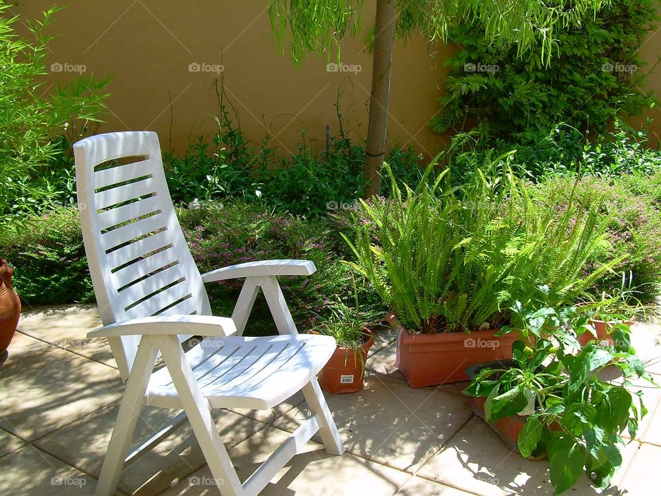 Chair in the garden