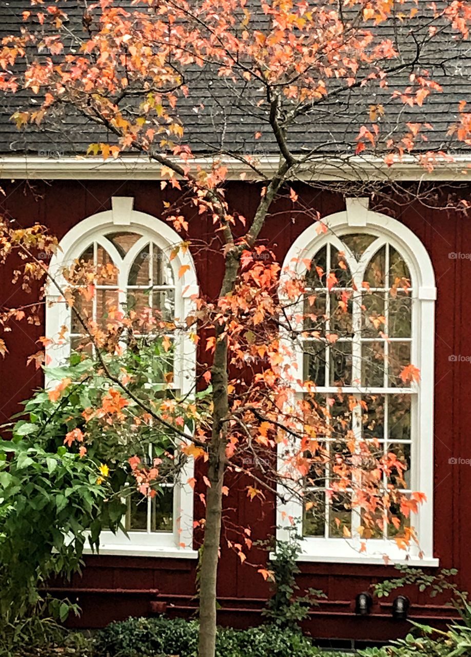Museum windows in fall
