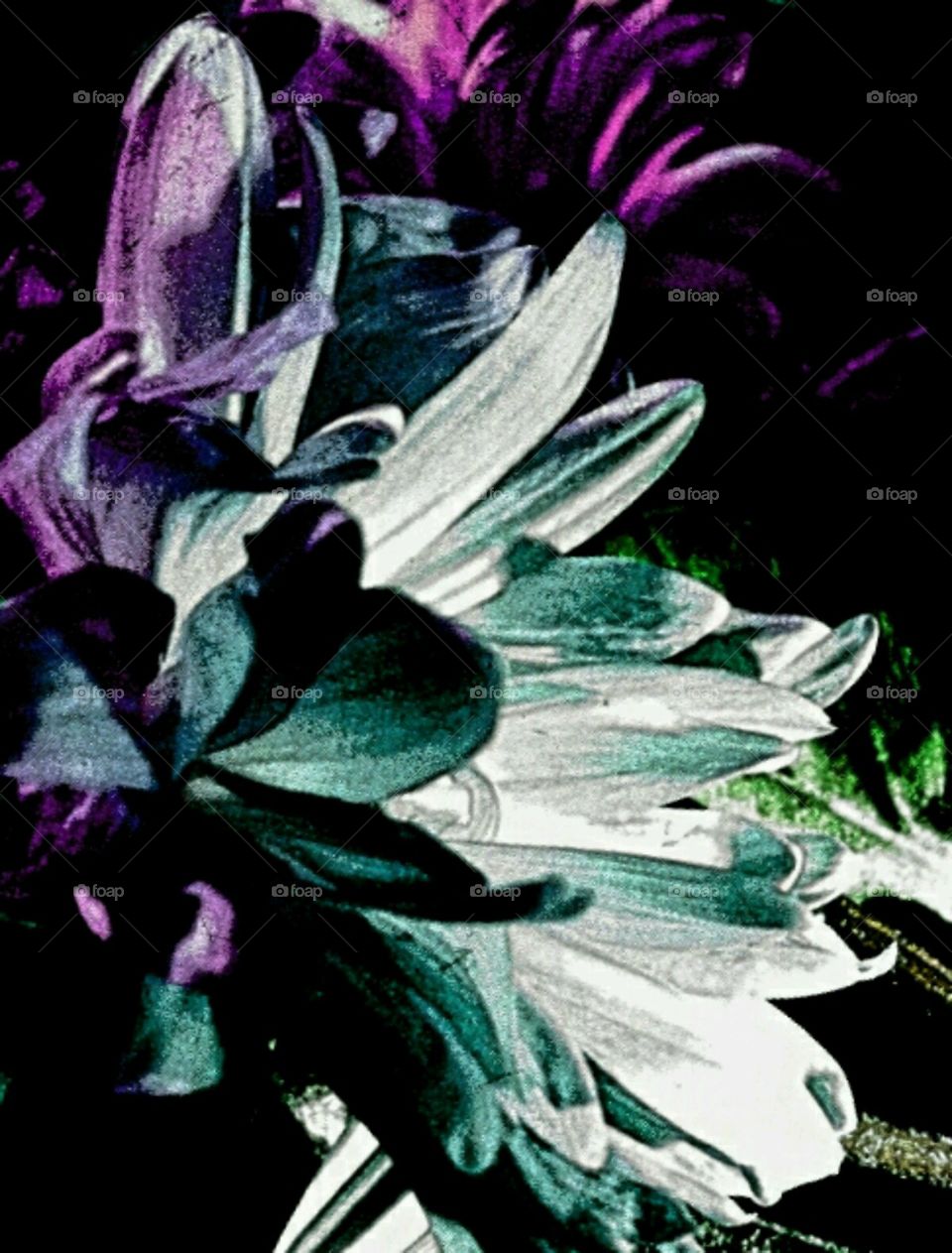 wonder. flashlight effects