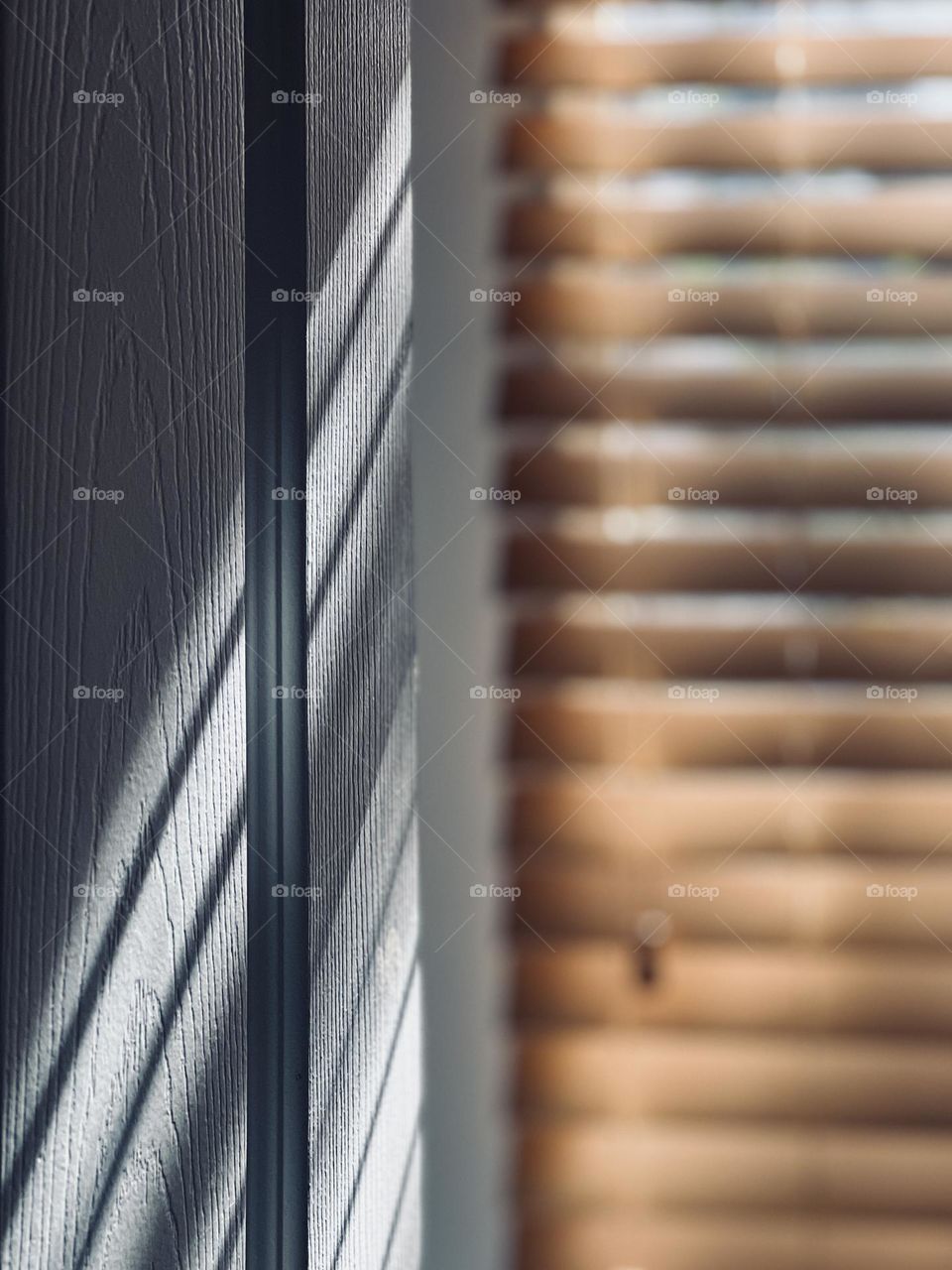 Closeup sunlight and shadow, home interior scene. The morning sunlight turns the ordinary into captivating.