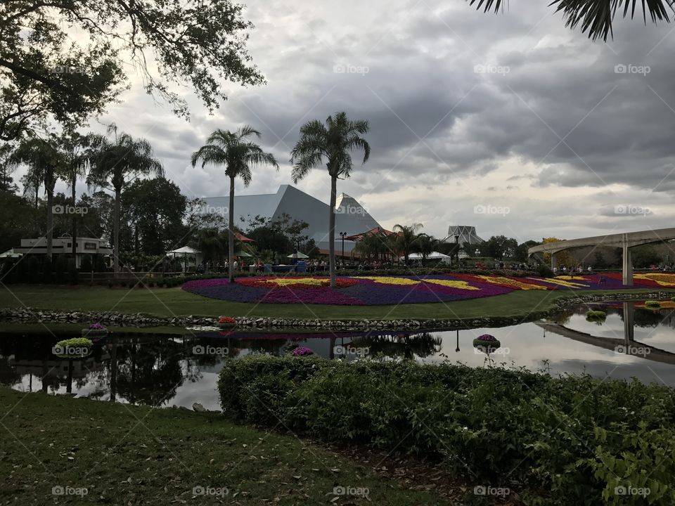 Click by Selsa.  A University of Central Florida student located in Orlando. Follow me @Selsa.clicks 