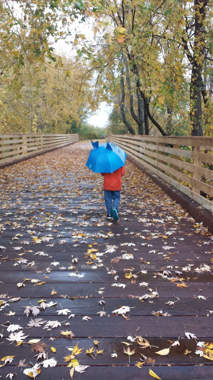 Walking in the rain. child walking on bridge in Fall