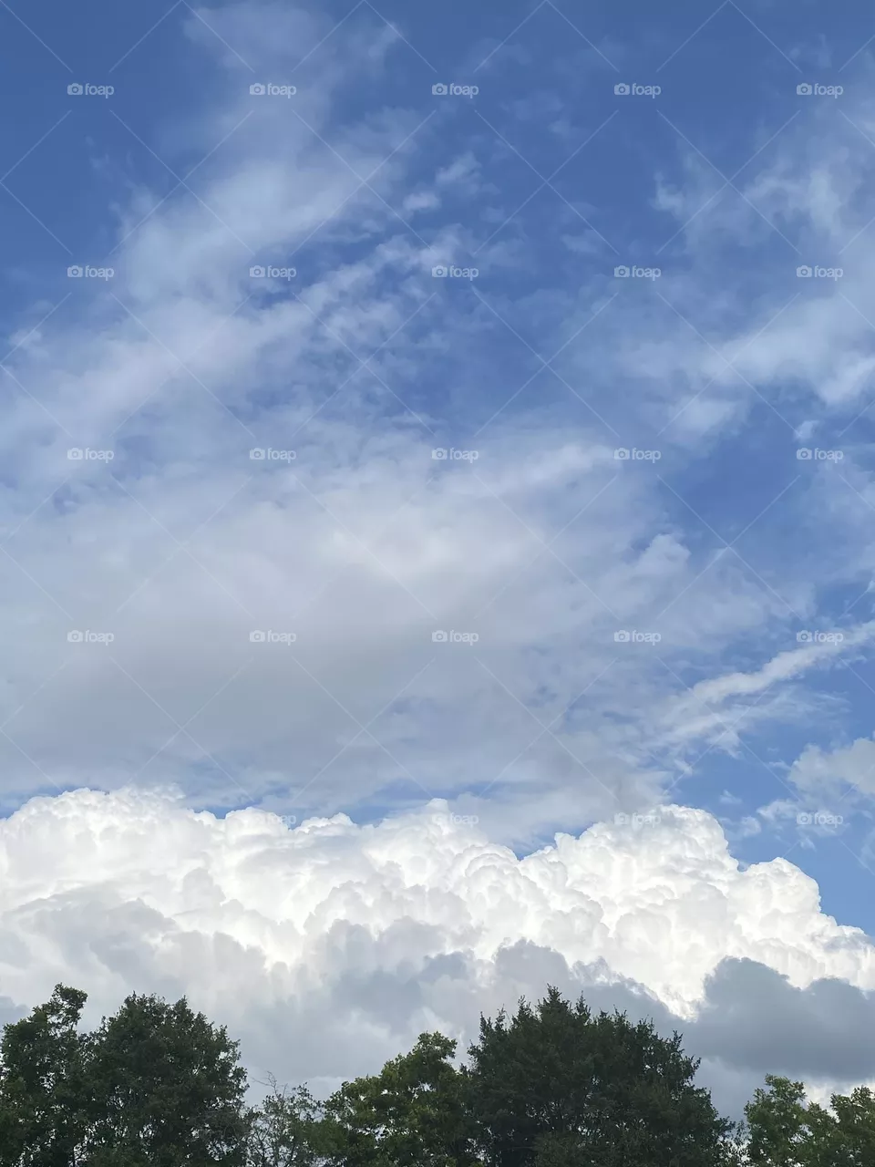 Fluffy clouds 