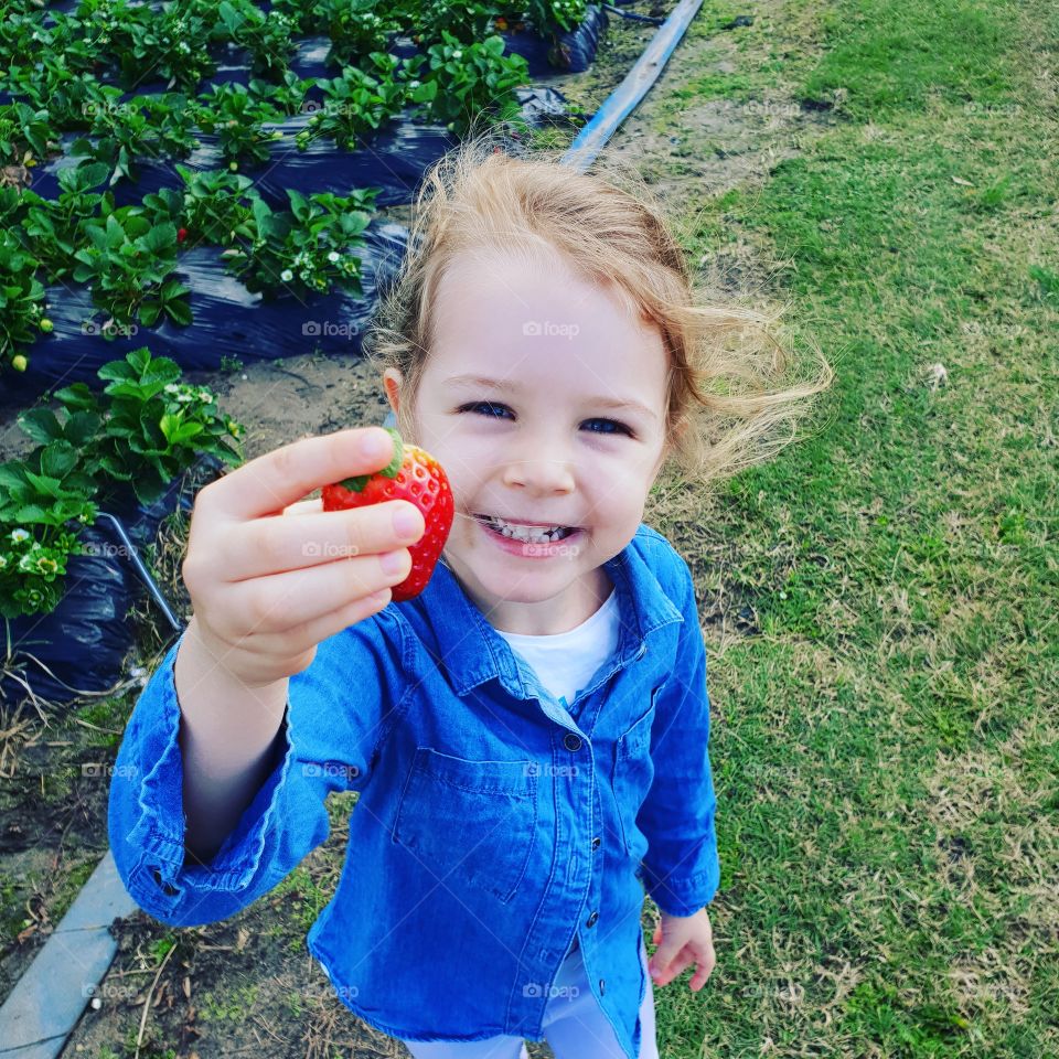 girl toddler holding strawberry, pretty, fun, cute, yum, fruit, outside