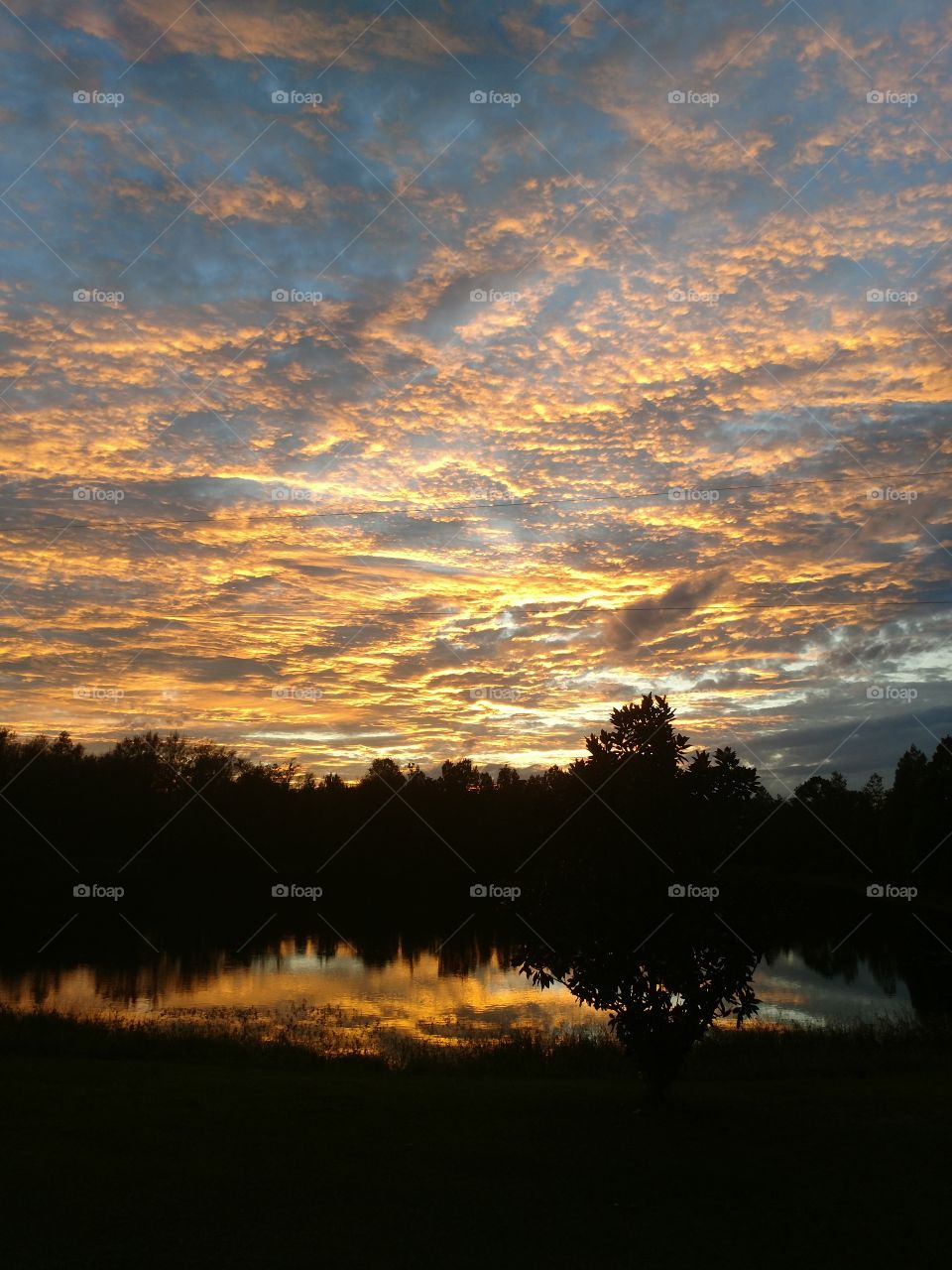 sunset, outdoors, evening, fall weather, reflection, water