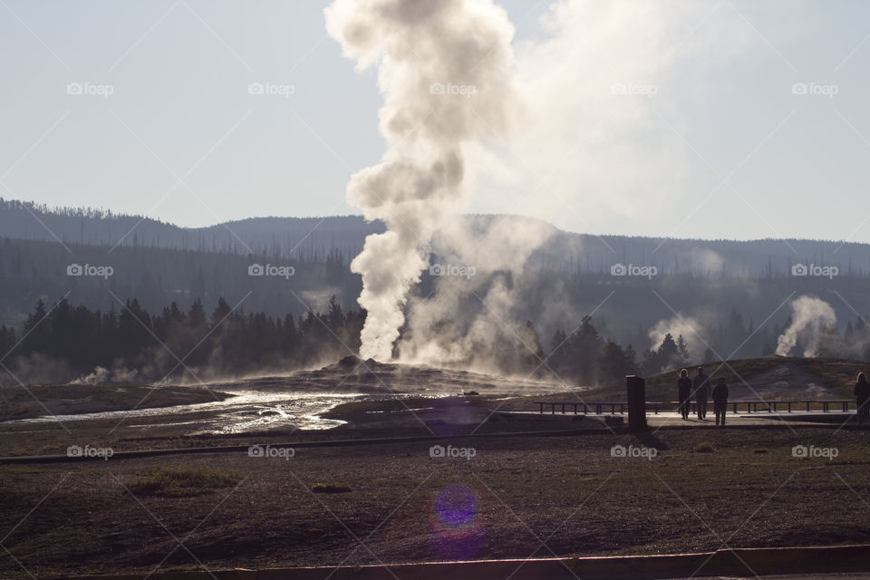 Geyser erupting at Yellowstone National Park