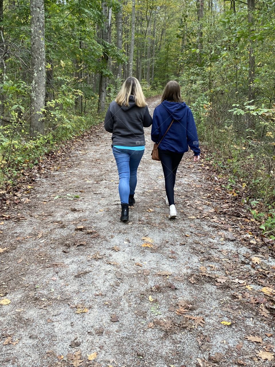 Walking in the woods 