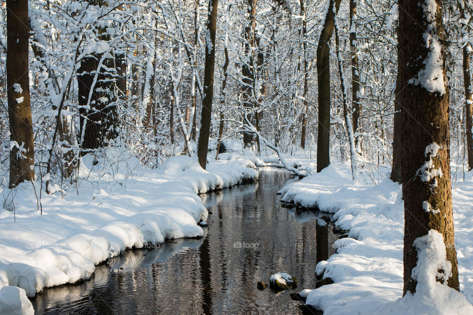 Stream in through snow covered woodland