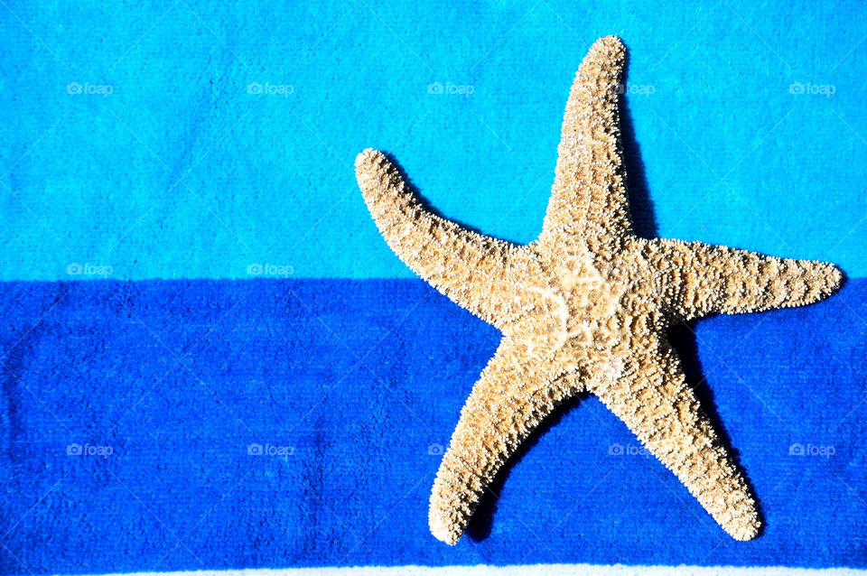 Starfish on a beach towel. 